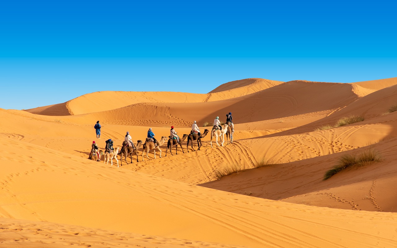 4 Días a Marrakech Desde Fez