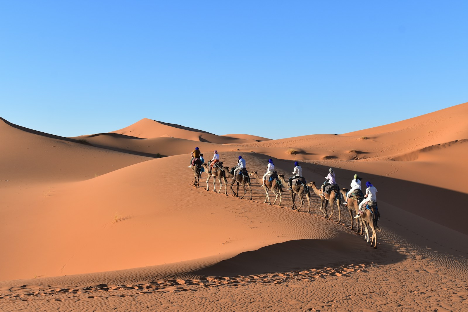 2 Días a Marrakech Desde Fez